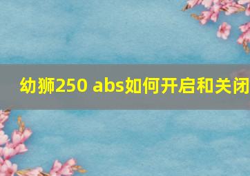 幼狮250 abs如何开启和关闭